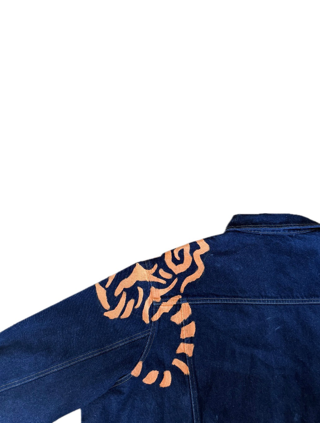 “Big Cats” jacket